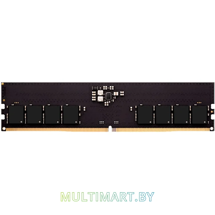 Оперативная память AMD Radeon R5 Entertainment Series 32GB DDR5 PC5-41600 (R5532G5200U2S-UO)